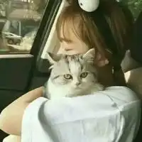 抱猫女头像不露脸真人抱猫头像女不露脸