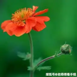 到9月运势越旺盛的生肖,顺利发财,全家生活越来越好