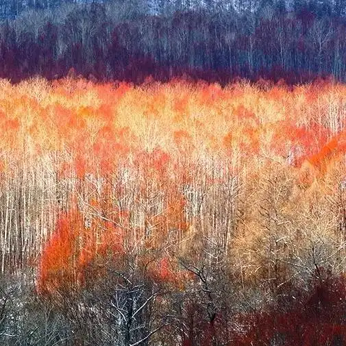 你知道中国最冷的小镇是哪里吗