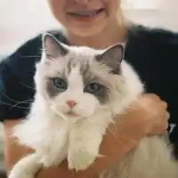 用猫做头像的男生微信头像图片大全