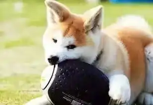 开心一刻笑话同事介绍一个相亲对象,约定中午一点在办公室见面