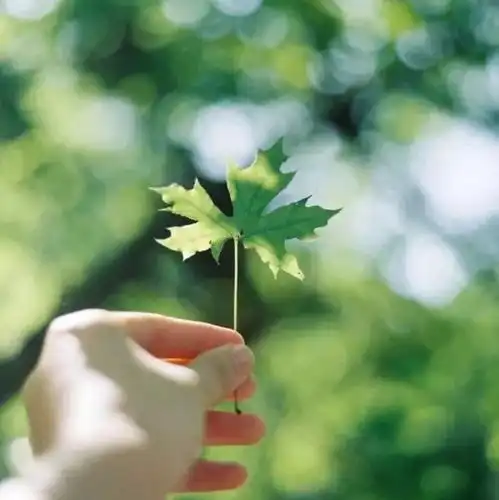 想明白了,你就再也不会生气了好文