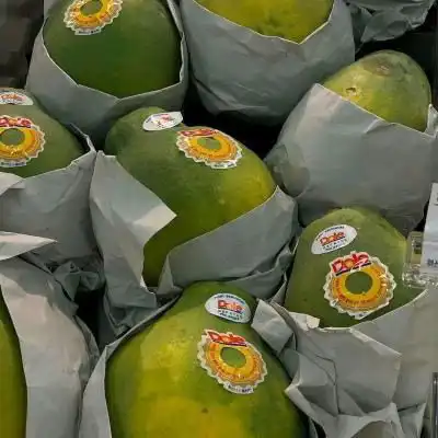 绿色系萌物甜点图片静心背景图