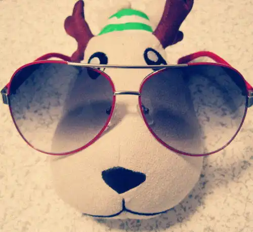 明星情侣太阳镜男女款蛤蟆镜潮人墨镜太堆糖,美好生活研究所