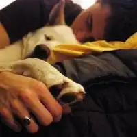 欧美男生霸气拽头像那个懂你眼泪的是最爱你的人