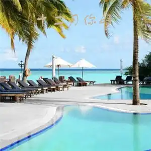 十二月你好风景头像图片大全