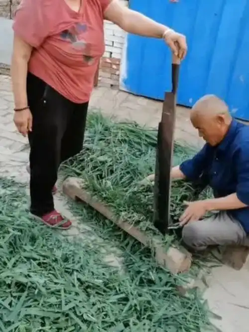 农村生活生活随拍人物随拍农村男女农村劳作农村老人