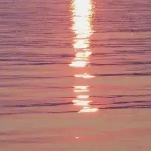 头像将世界赠与你