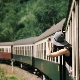 你所羡慕的,只是想象中的自由