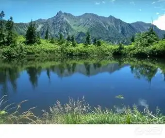 逸动社区图片集锦