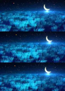 月夜草地星空视频素材模板下载led视频背景视频大全编号14979554