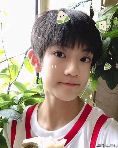 张铭浩全国粉丝后援会更换黑头像,取消生日应援,后援彻底瓦解