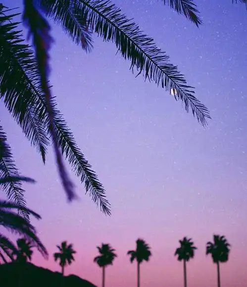 成长的第一步,是要接受失望