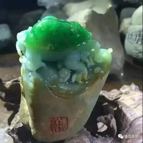 山里有块奇怪绿石,大家都说是翡翠原石,没想到是龙龟