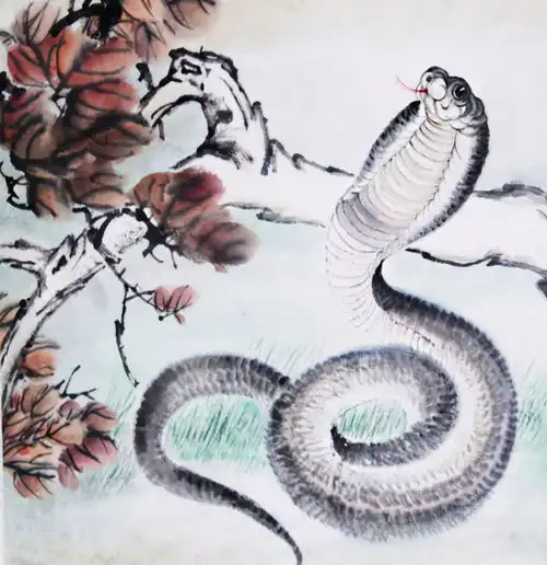 生肖蛇恭喜了,下半年好运八方来,赚钱四面通,福气运气啥都长