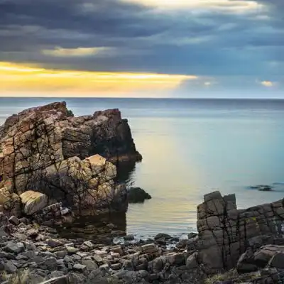 2023自然与科技风景头像