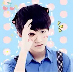 tfbhaze萌哒哒的三只头像,抱走吱一声