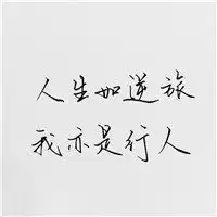 白底文字头像图片大全微信头像图片大全