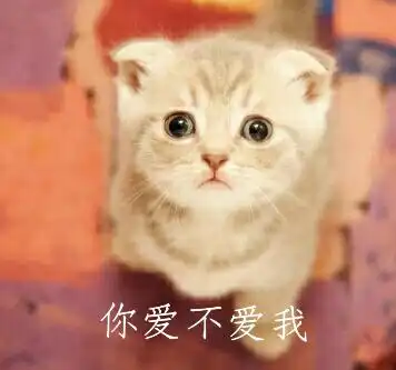 天秤座男生和射手座女生在一起合适吗