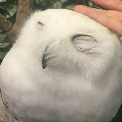 简单情侣头像微信专用一男一女简约干净情侣头像