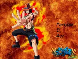 岛上的宝藏是我的小小海贼王岛主篇