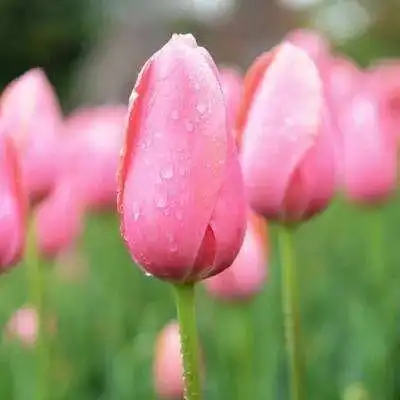 人到中年,别去联系这些人了,没有意义