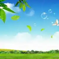 蓝天白云花草微信头像图片大全微信头像图片大全