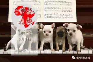 搜狐社会搜狐网