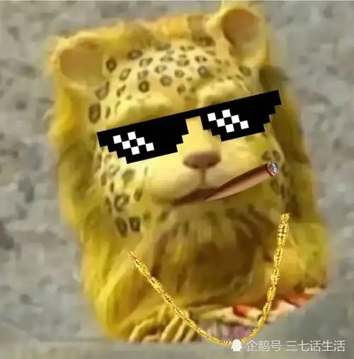 超火的金钱豹头像它连猪都打不过,你指望它发财