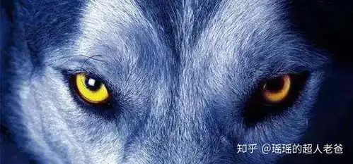 如何搞定自己企业的文化建设系列三