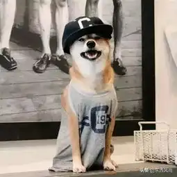 炎炎夏日是把t恤当做最主要的衣物,还是不穿t恤