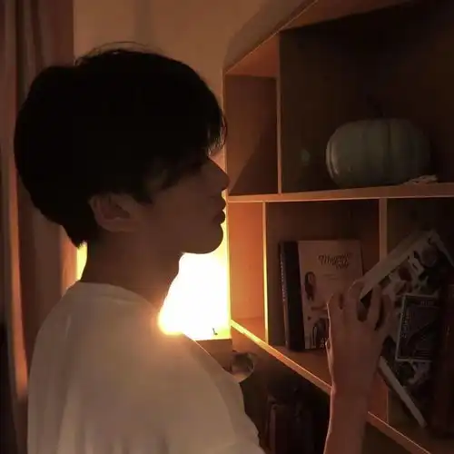 头像壁纸历尽千帆,归来仍是少年