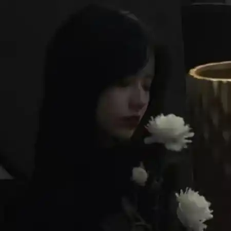 手拿白玫瑰头像手拿白玫瑰的女生头像图片