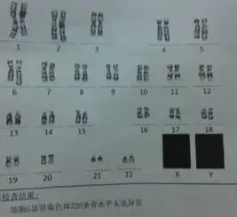 您真的了解羊水细胞染色体异常检测吗