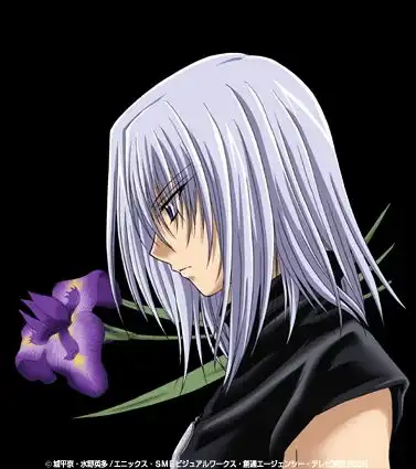 动漫男头侧脸往右边头像有吗我急需