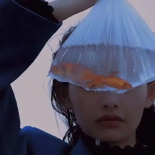 文案人要先感到幸福才能看到玫瑰
