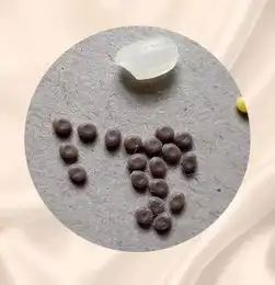 你知道蚕的一生吗