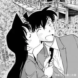 小兰亲了新一怎么回事小兰亲了新一是名侦探名侦探柯南第几集的