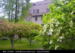 院落花草树木景观高清图片下载红动网