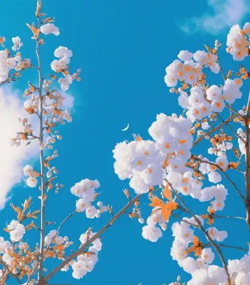 感同身受的晚安心语,简单干净,人人点赞