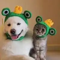 课程中心