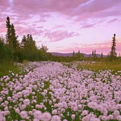 一天一眨眼,一年一秋寒,一生一回首