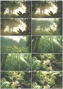 独家设计师qqa72ef805的原创设计素材图片模板库我图网