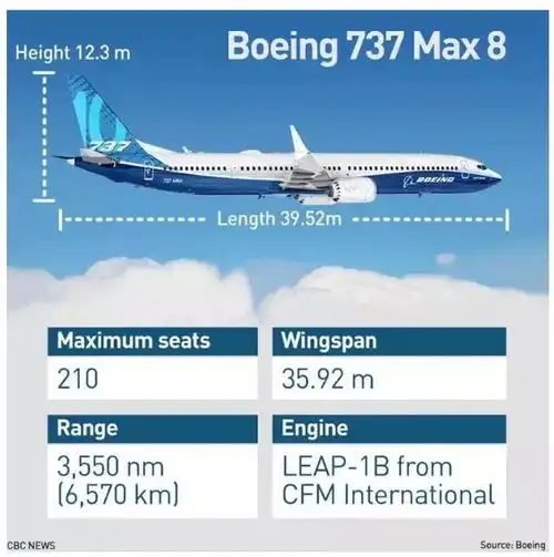 埃航空难黑匣子已找到中国等宣布停飞事故机型,加拿大还在坚持
