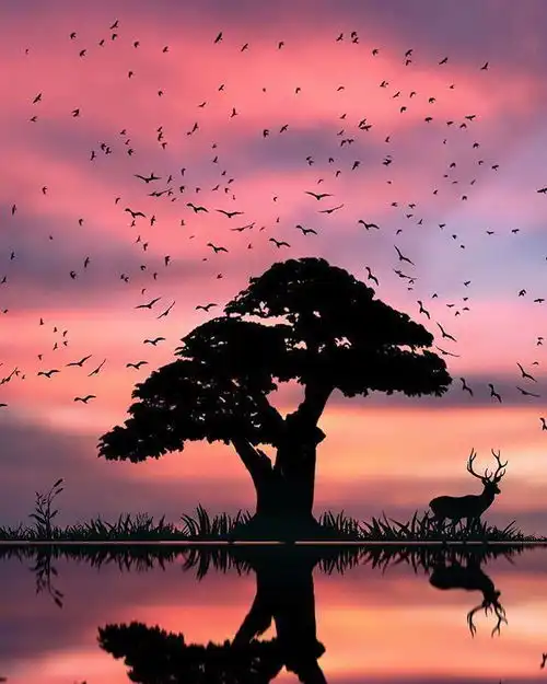 感悟深刻的人生哲理句子,经典睿智,让你大彻大悟