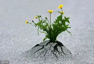 人生感悟生命的奔跑