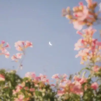 适合老年人的微信头像60岁70岁女人专用风景头像