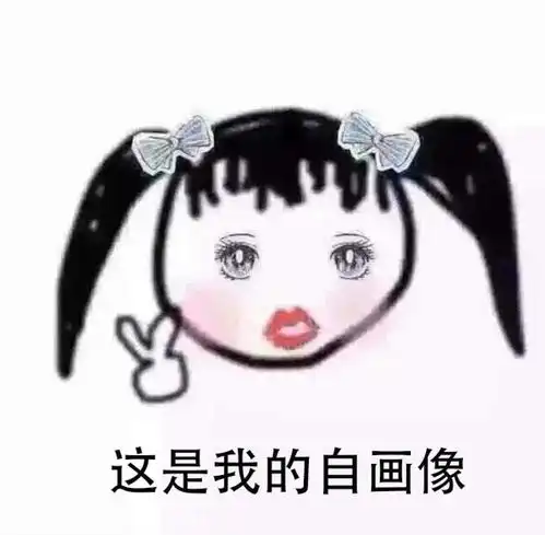 大家好,这是我的年终总结扎心版