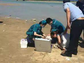 网曝濮阳俩花季少女溺水一人被救一人身亡