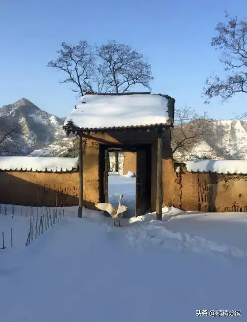 终南山,有一群年轻人在努力隐居